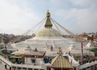 Co to jest mandala zdrowia? Co to jest mandala zdrowia?