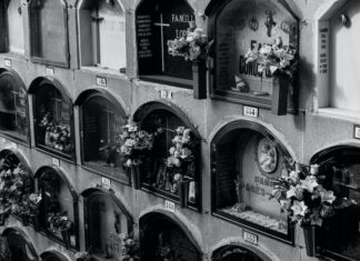 Czy psy lubią jak się do nich mówi? Czy psy lubią jak się do nich mówi?