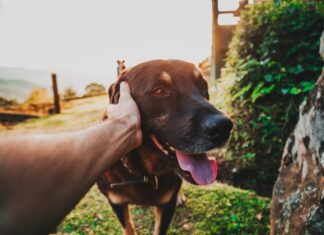 Czy firma to dane osobowe?