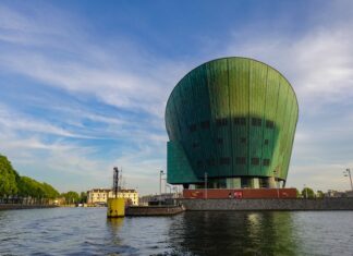 Gdzie jest Nemo niebieska rybka?