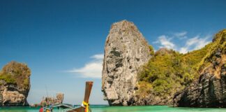 Ile kosztuje zrobienie sklepu na WordPress?