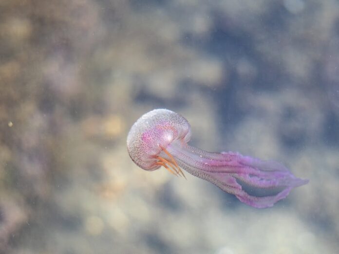 Jak kierować swoim życiem by było to życie wartościowe?