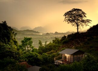 Jaka moc czajnika najlepsza? Jaka moc czajnika najlepsza?