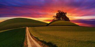 Co jest lepsze Android czy iPhone?