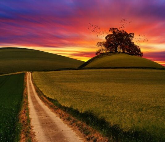 Co jest lepsze Android czy iPhone?