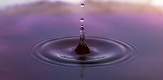 Ile wynosi dopłata do kozy?