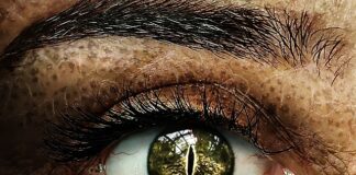 Kim jest Sauron w pierścieniach władzy?