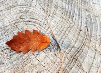 Dlaczego zapiekają się pierścienie?