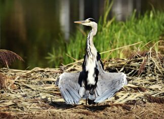 Jak prawidłowo suszyć pędzle do makijażu?