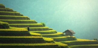 Co fajnego na taras?