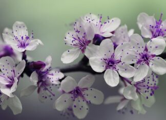 Jak głęboko słupki pod taras?