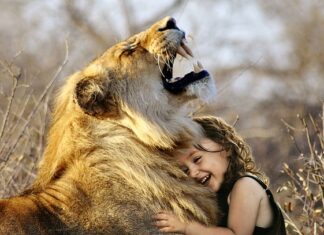 Jaka jest najlepsza tkanina?