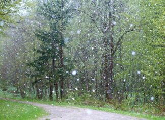 Dlaczego Taśma LED słabo świeci? Dlaczego Taśma LED słabo świeci?