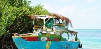 Jak sprawdzić czy to uszczelniacze czy to pierścienie?