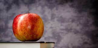 Jakie są klasy petard?