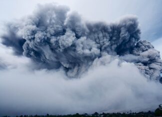 Ile gram prochu ma petarda?