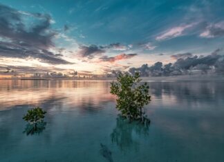Jak przerobić narożnik na sofę?
