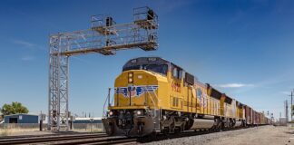 Jaka piła spalinowa Stihl czy Husqvarna?