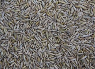 Gdzie jest produkowana piła Husqvarna? Gdzie jest produkowana piła Husqvarna?