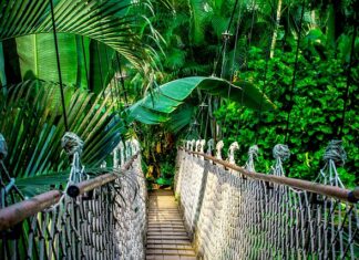 Czy Amazon ma prawa do Tolkiena?