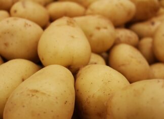 Kto wymyślił piłę?