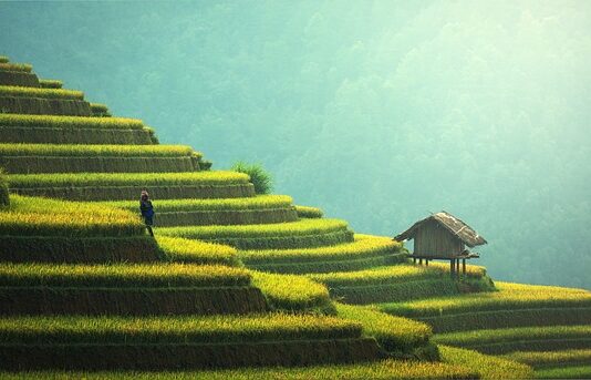 Czym odgrodzić się od sąsiada na tarasie?