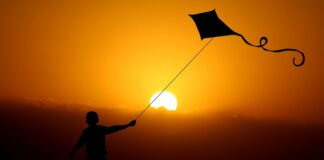 Co szybko rośnie na pergoli?