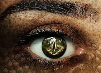 Dlaczego Sauron stworzył pierścienie?