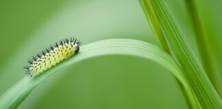 Czy opłaca się otworzyć tartak?