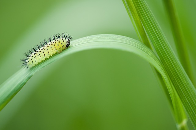 Czy opłaca się otworzyć tartak? Czy opłaca się otworzyć tartak?
