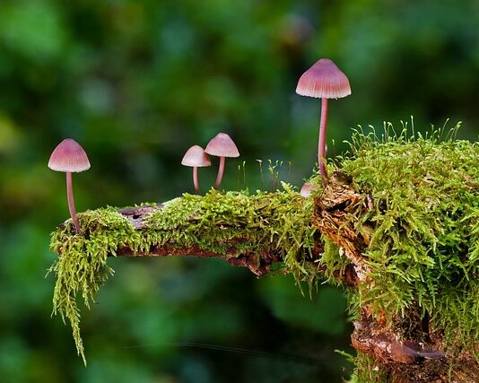 Jak samemu wymienić gąbkę w kanapie?