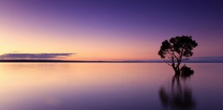 Ile wody zużywa się miesięcznie?