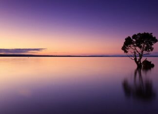 Ile wody zużywa się miesięcznie?