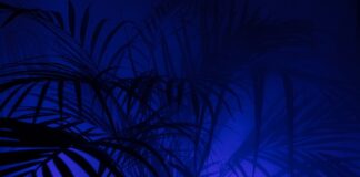 Co oznacza XP w Husqvarna?