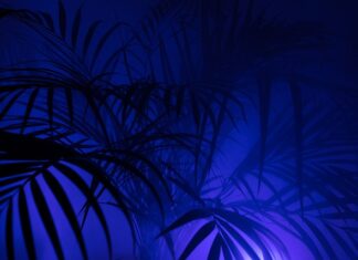 Co oznacza XP w Husqvarna? Co oznacza XP w Husqvarna?