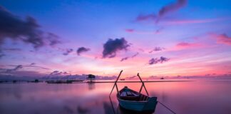 Czy kolor peszla ma znaczenie?