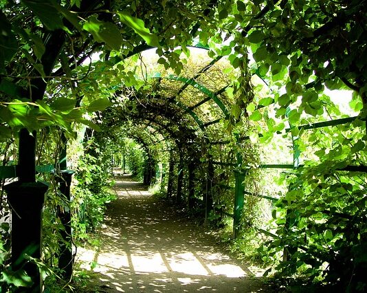 Gdzie postawić pergolę w ogrodzie? Gdzie postawić pergolę w ogrodzie?