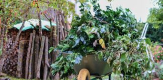 Ile odcinków pierścienie władzy?