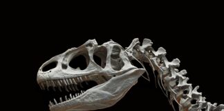 Jaką głębokość wykopu pod kabel energetyczny?