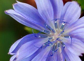 Jak dobrać zamiennik pilota do bramy?