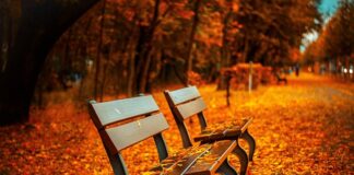 Qual è il posto migliore del Lago di Garda?