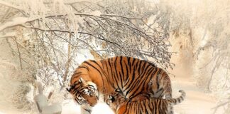 Qué hacer en Madrid que no sea lo tipico?