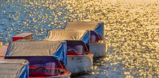 Sind Elektroboote führerscheinfrei?