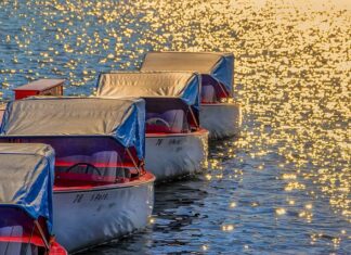 Sind Elektroboote führerscheinfrei? Sind Elektroboote führerscheinfrei?