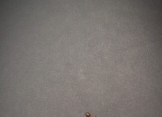 Qué vale un almuerzo en Madrid?