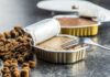 Karmy mokre dla kotów – jak dobrać odpowiednią i zadbać o zdrową dietę mruczka? Karmy mokre dla kotów