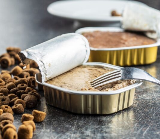 Karmy mokre dla kotów – jak dobrać odpowiednią i zadbać o zdrową dietę mruczka? Karmy mokre dla kotów